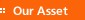 Our Asset